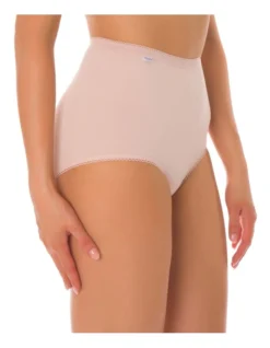 Sloggi Maxi Brief Pink/Brown 2 Pack -SOHO Shop 822292580 707223610 3 1 720x928